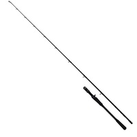 1BM-PC-024 Удилище Robinson Big Mama PRO Casting 2,40m 56-170g